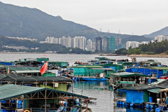 Sam Mun Tsai, Tai Po