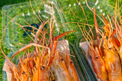 Pae Mai Tuesday Market