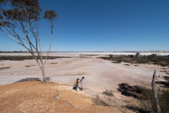 B066810