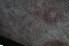 D060020