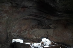 D060025