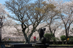 Jeju Folklore and Natural History Museum