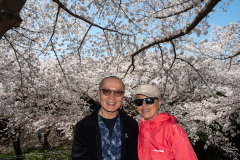 Jeju Folklore and Natural History Museum