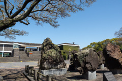 Jeju Folklore and Natural History Museum