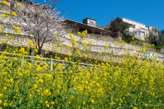 Ildo 1(il)-dong, 일도일동