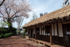 Lee Jung Seop Street, Lee Jung Seops residence, 이중섭 거주지