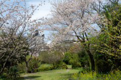 Lee Jung Seop Street, Lee Jung Seops residence, 이중섭 거주지