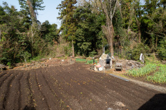 Hugh mark Pensions, 표선 휴펜션