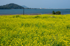 Seogwipo