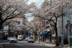Seogwipo