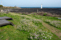 Seogwipo