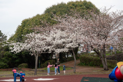 Seogwipo Chilsimni Park