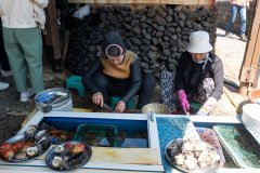 Seongsan Fishing Village Haenyeo’s House, Umutgae Coast, 성산어촌계해녀의집, 우뭇개해안