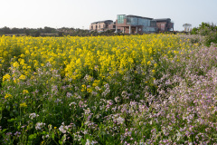 Seogwipo