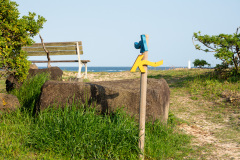 Jeju Olle Trail
