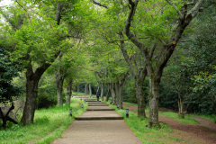 Sarabong Park