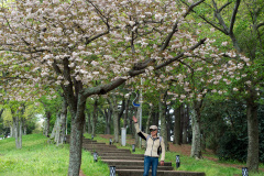 Sarabong Park