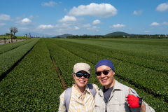 Hallasan, Seongeup Green Tea Village