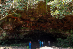 Green Tea Cave, Seongeup Green Tea Village