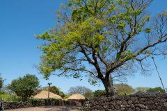 Seongeup Folk Village