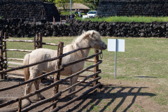 Seongeup Folk Village