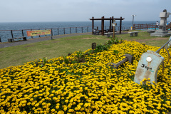 Dodu Rainbow Coastal Road