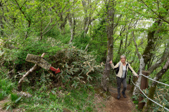Jeolmul Natural Recreation Forest