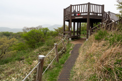 Jeolmul Natural Recreation Forest