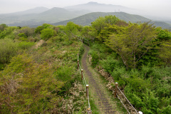 Jeolmul Natural Recreation Forest