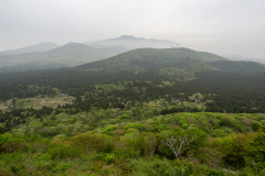 Jeolmul Natural Recreation Forest