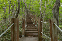 Jeolmul Natural Recreation Forest