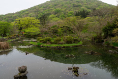 Jeolmul Natural Recreation Forest