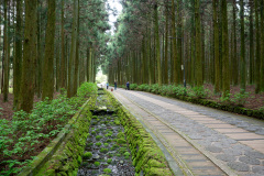 Jeolmul Natural Recreation Forest
