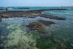 Hangyeong, Sinchang Windmill Coastal Road