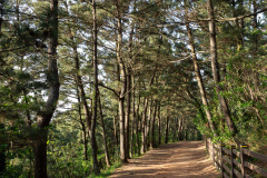 Songaksan