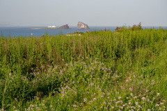 Songaksan