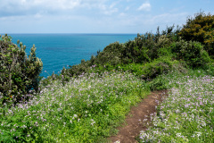 Jocheon, Seoubong Trail