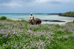 Hamdeok Beach, Jocheon