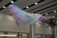 Jeju International Airport