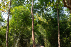 Hellfire Pass, Nam Tok