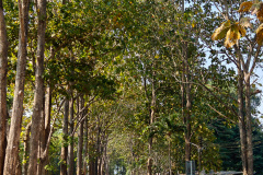 Hellfire Pass Interpretive Centre, Nam Tok