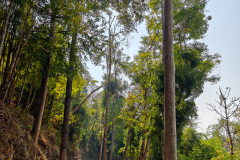 Hellfire Pass, Nam Tok