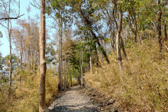 Hellfire Pass, Nam Tok