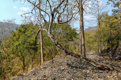 Hellfire Pass, Nam Tok