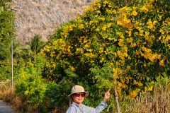 Nam Tok