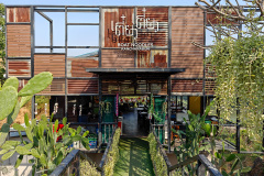 Kanchanaburi noodles, เตี๋ยว เตี๋ยว กาญจนบุรี