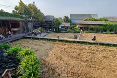 Meena Café