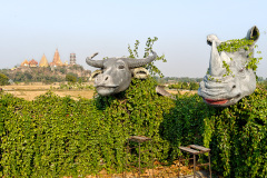 Meena Café