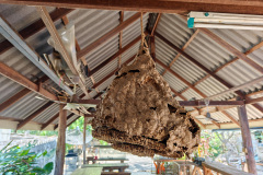 Nam Tok, Santi Restaurant, ร้านอาหารสันติ