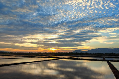 Natural Salt Fields